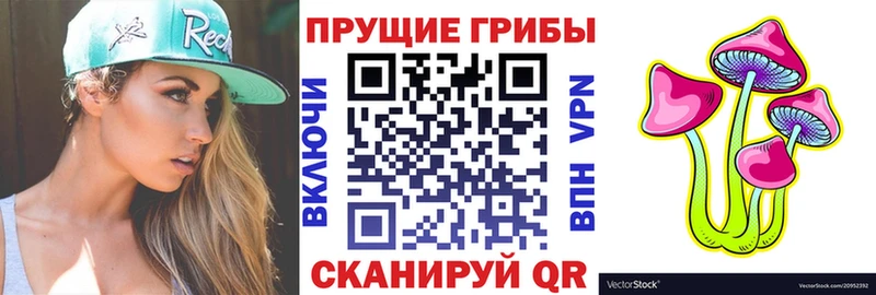 блэк спрут зеркало  Семилуки  Галлюциногенные грибы Psilocybine cubensis 